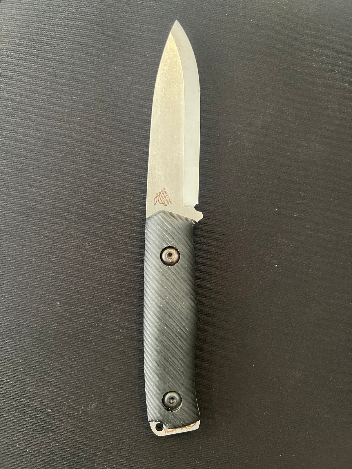 PALAZ (IDPA)
