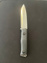 PALAZ (IDPA)