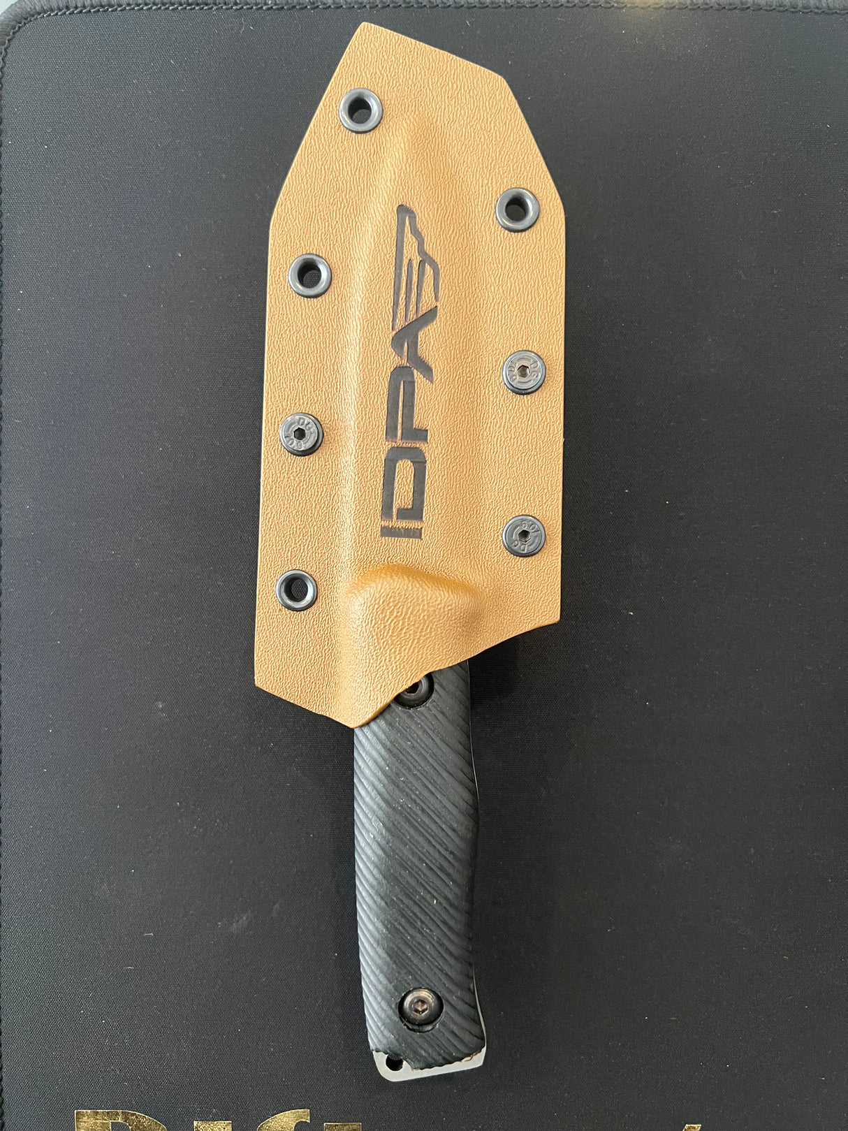 PALAZ (IDPA)