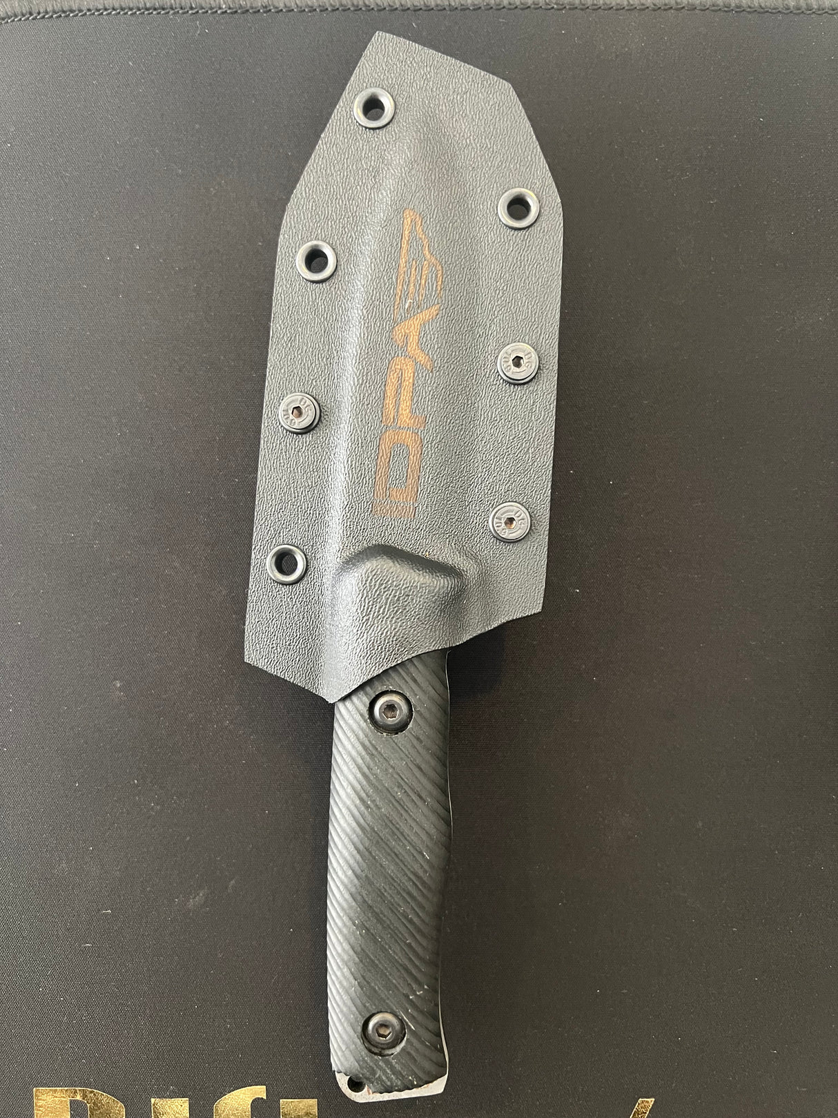 PALAZ (IDPA)